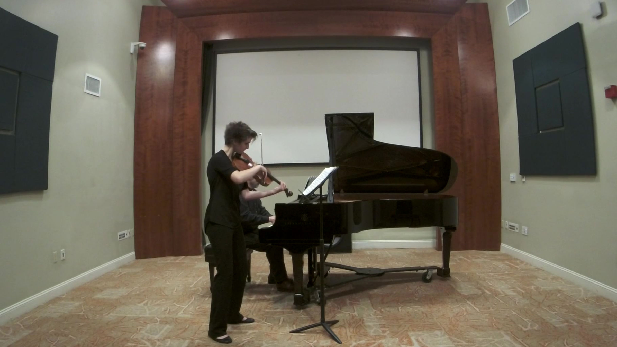 Brahms: Andante un poco adagio, Op. 120 No. 1